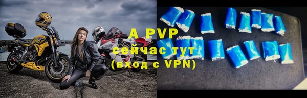 шишки Богородицк