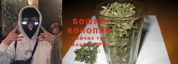 mix Богородск
