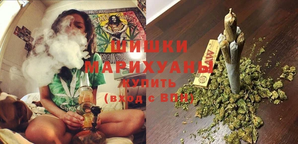 винт Богданович