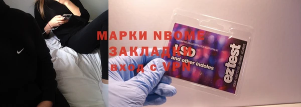 шишки Богородицк