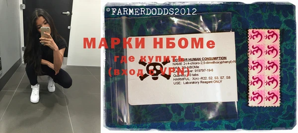 шишки Богородицк