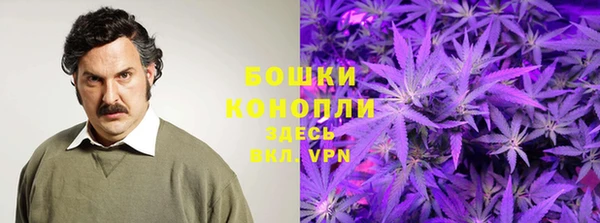 mix Богородск