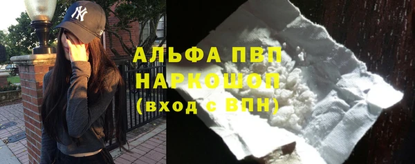 шишки Богородицк